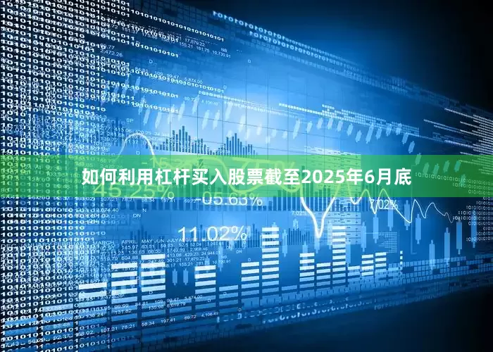 如何利用杠杆买入股票截至2025年6月底