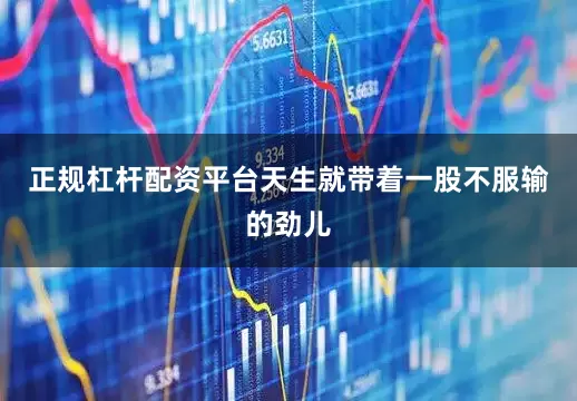 正规杠杆配资平台天生就带着一股不服输的劲儿